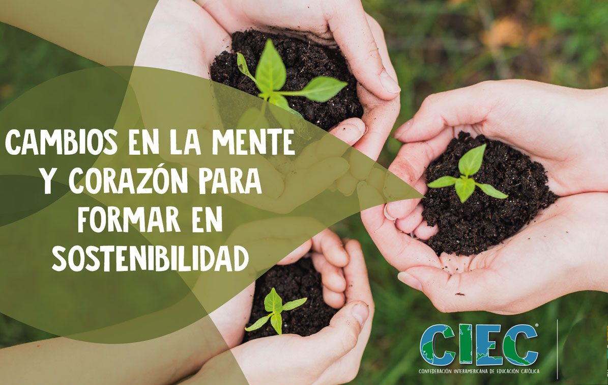 Cambios en la Mente y Corazòn Para Formar en Sostenibilidad Ed. 230