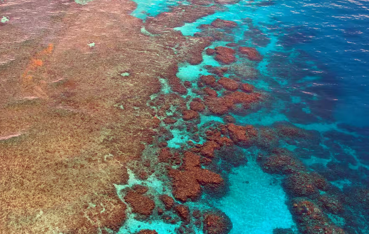 Nos acercamos a cinco puntos de inflexión que amenazarían la vida en la Tierra