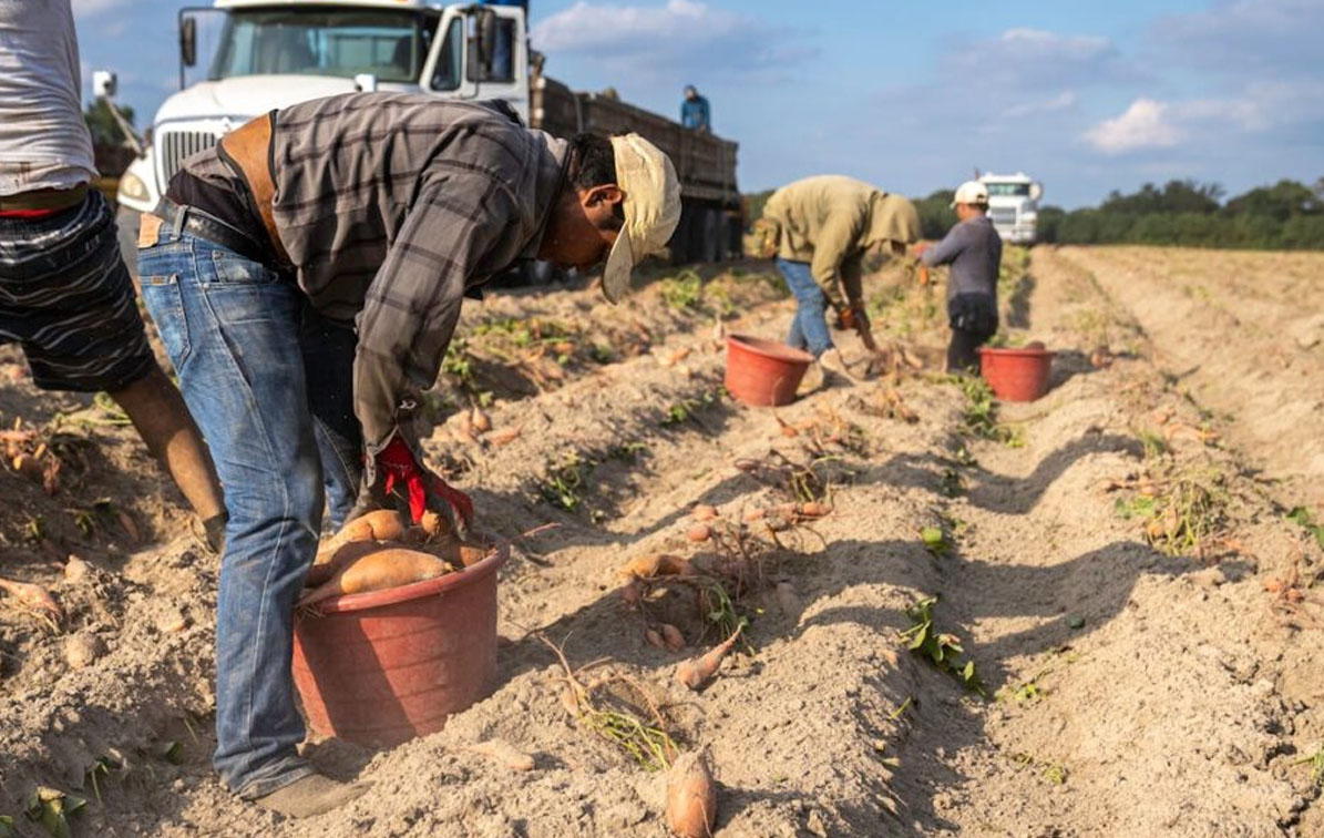El 74% de Latam en riesgo por clima extremo y pobreza alimentaria
