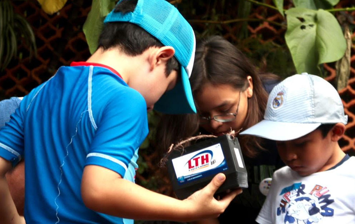 Educación ambiental desde la infancia: clave para el futuro del planeta